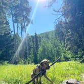 Review photo of Forest Road 663 by Aly E., June 23, 2025
