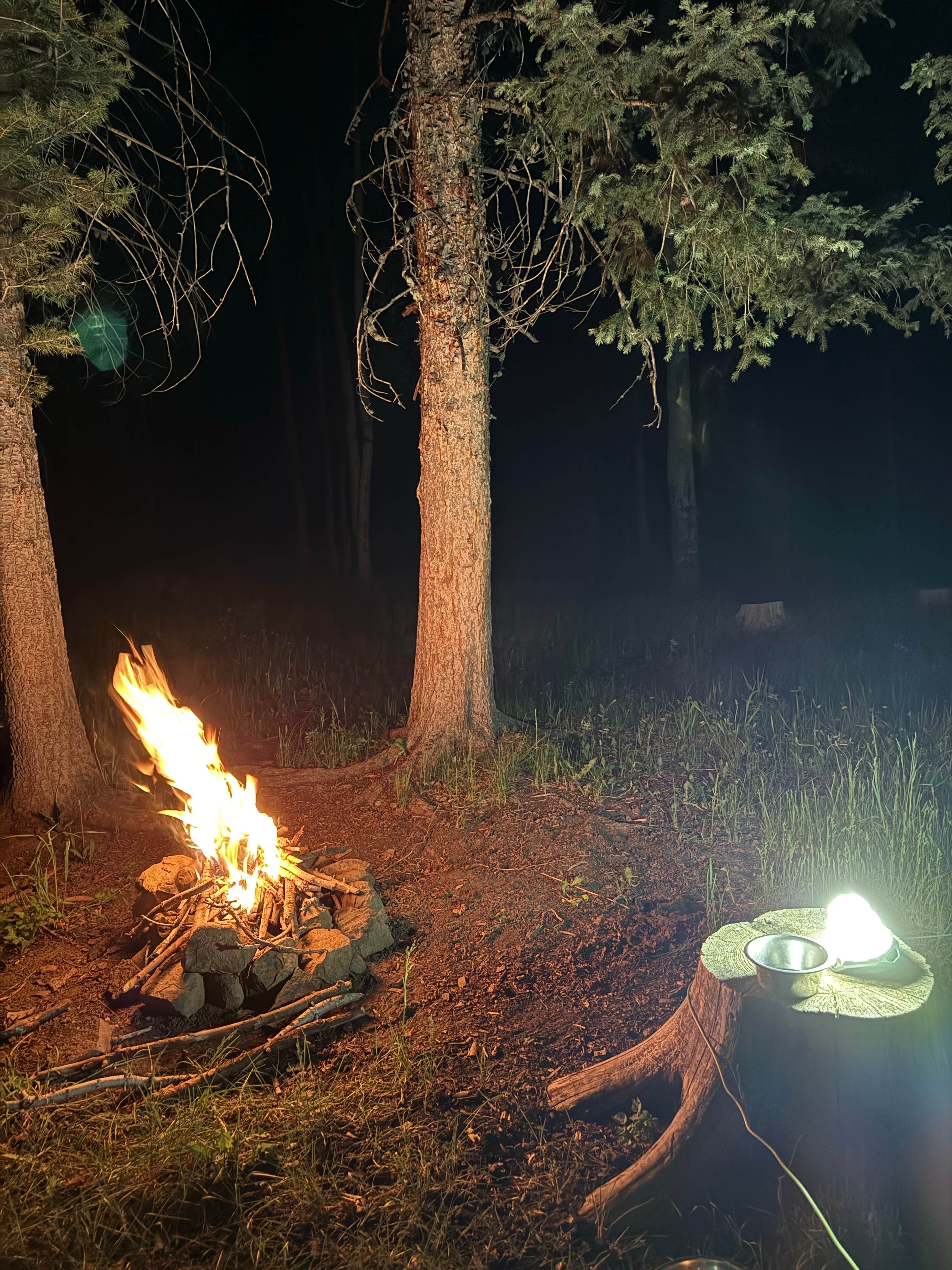 Camper submitted image from Forest Road 663 - 1