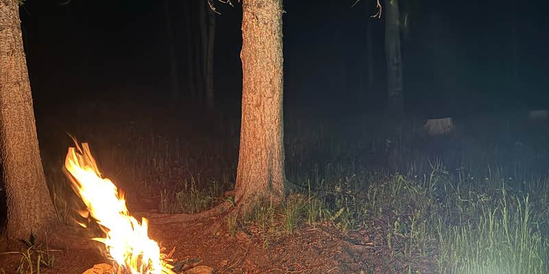 Camper submitted image from Forest Road 663