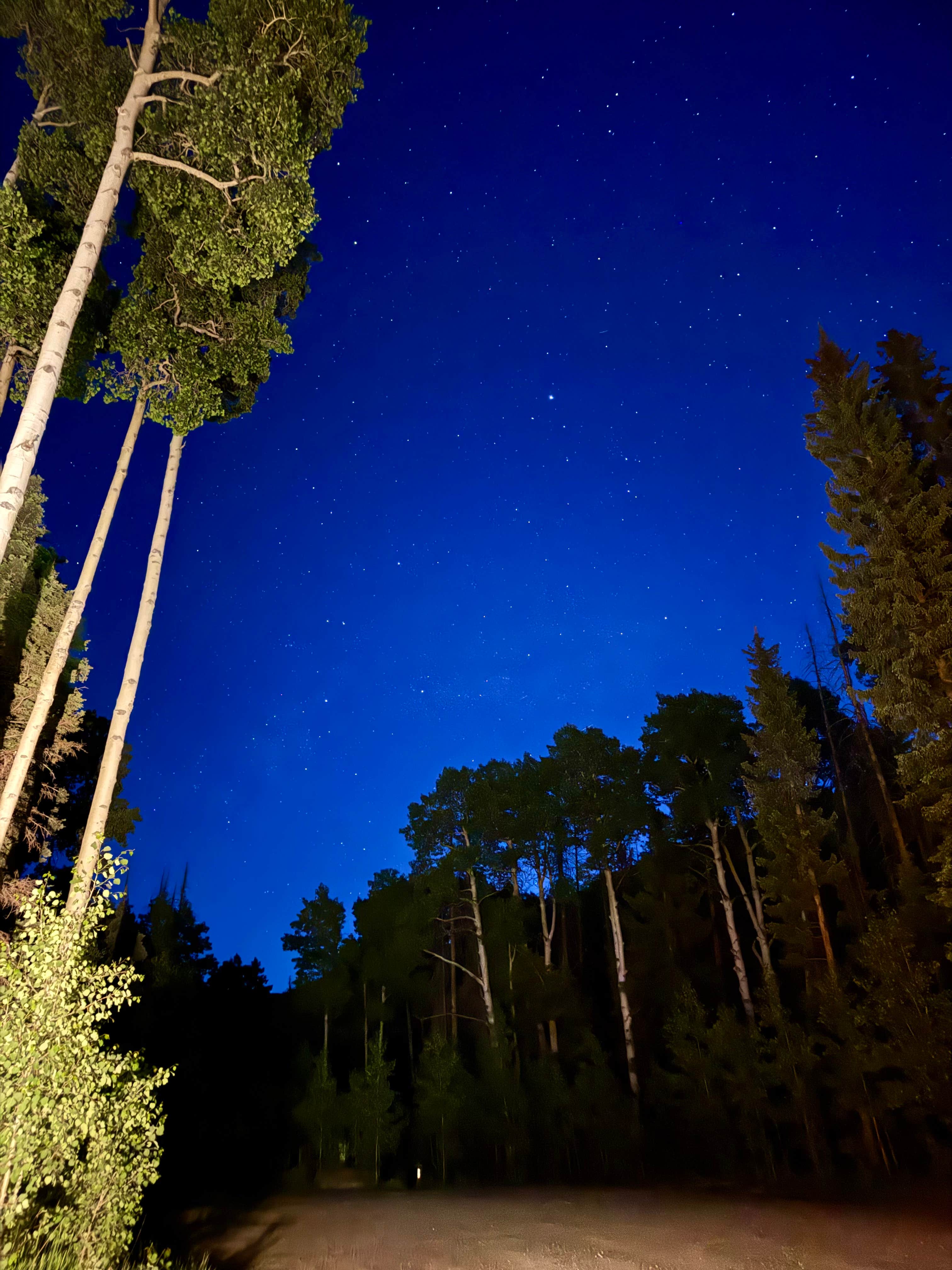 Aly E.'s photo of a dispersed camping area at Forest Road 663 near Pagosa Springs, CO