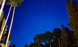 Aly E.'s photo of a dispersed camping area at Forest Road 663 near Los Ojos, NM