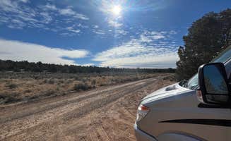 Teresa A.'s photo of a dispersed camping area at Forest Road 682 near Tuba City, AZ