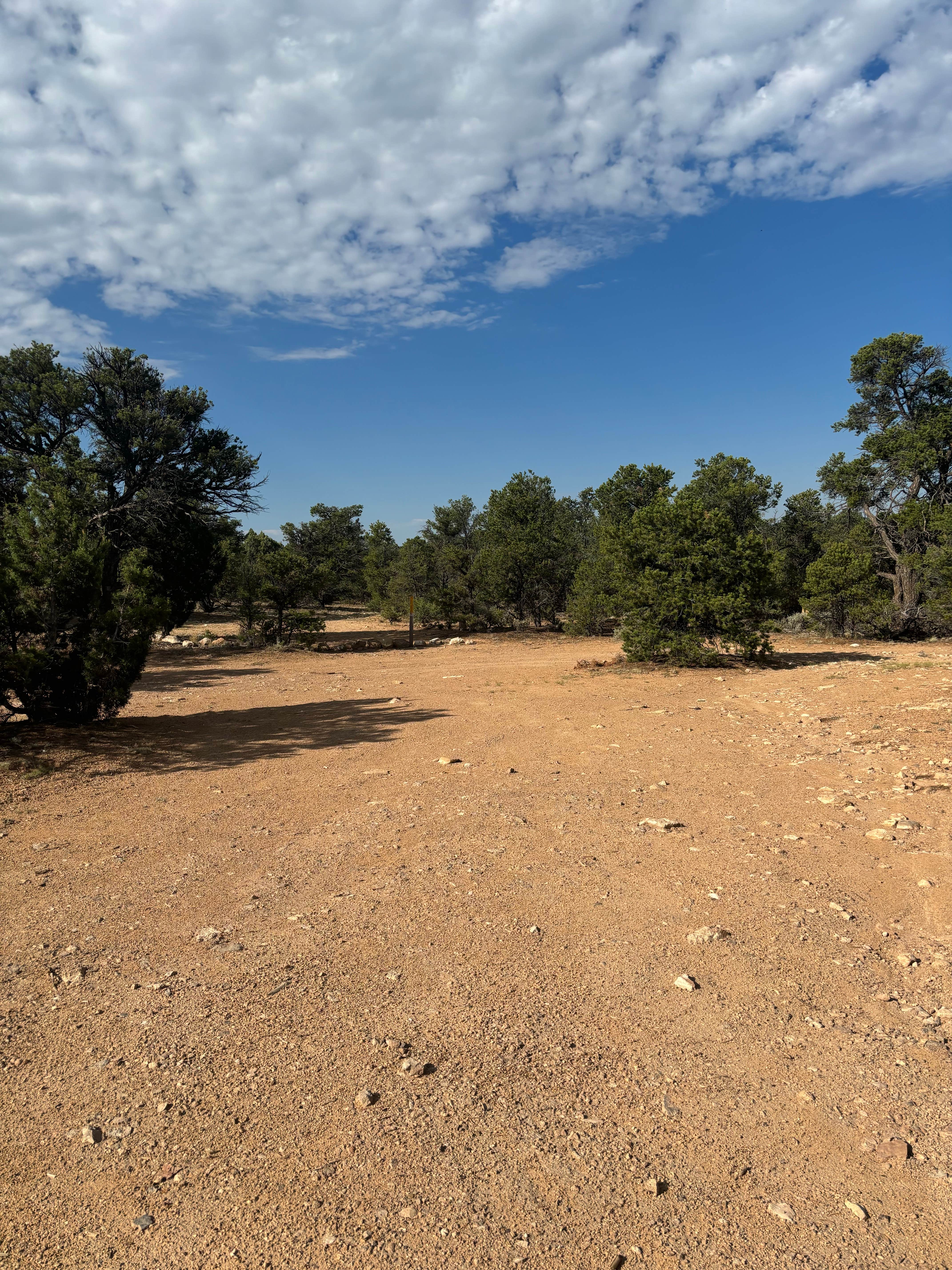 Camper-submitted photo at Forest Road 682 near Cameron, AZ