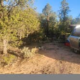 Review photo of Forest Road 682 by Levi S., June 17, 2025