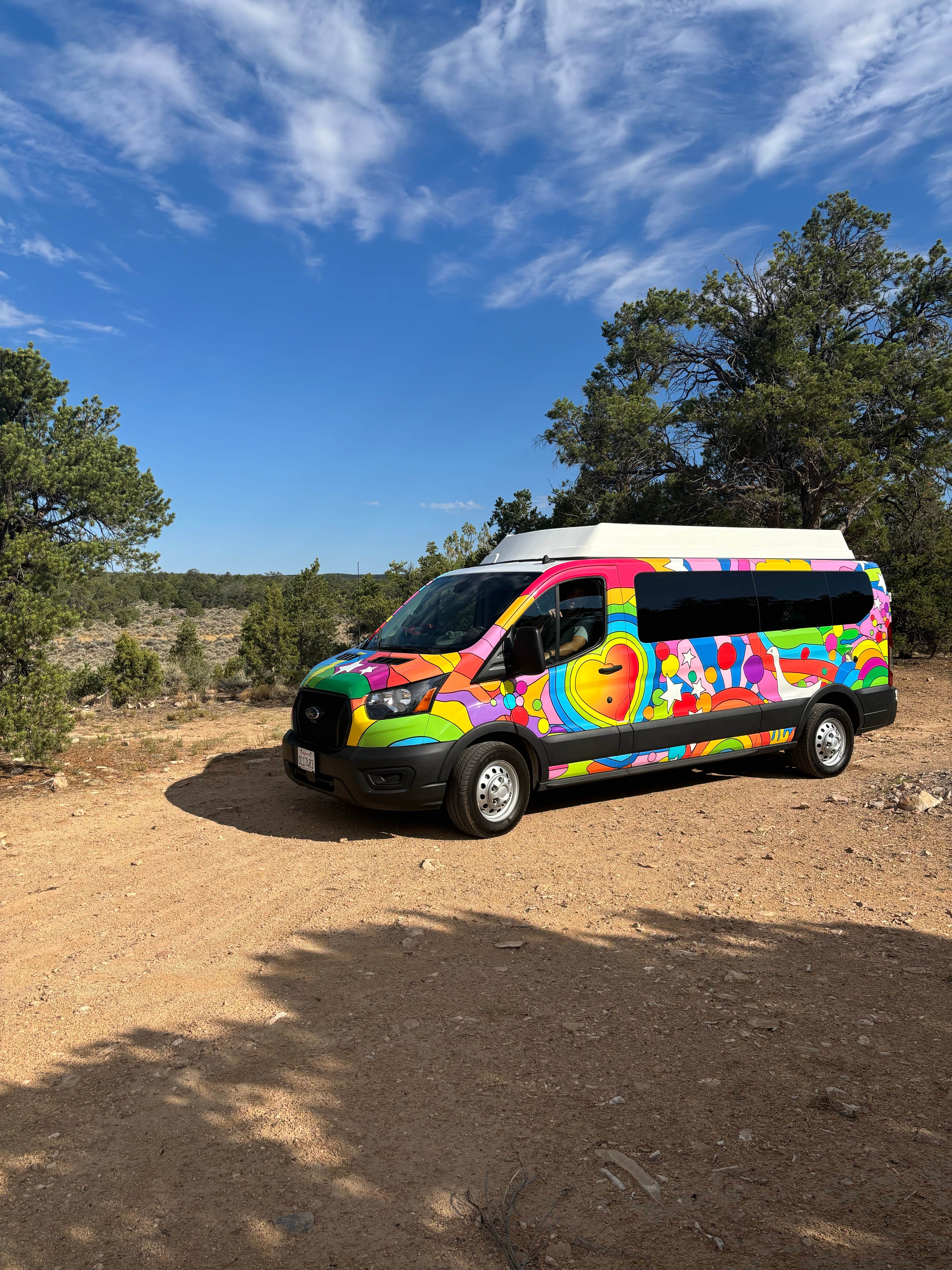 Camper-submitted photo at Forest Road 682 near Tuba City, AZ