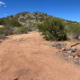 Review photo of Forest Road 689 - Dispersed Site by Meghan B., April 29, 2025