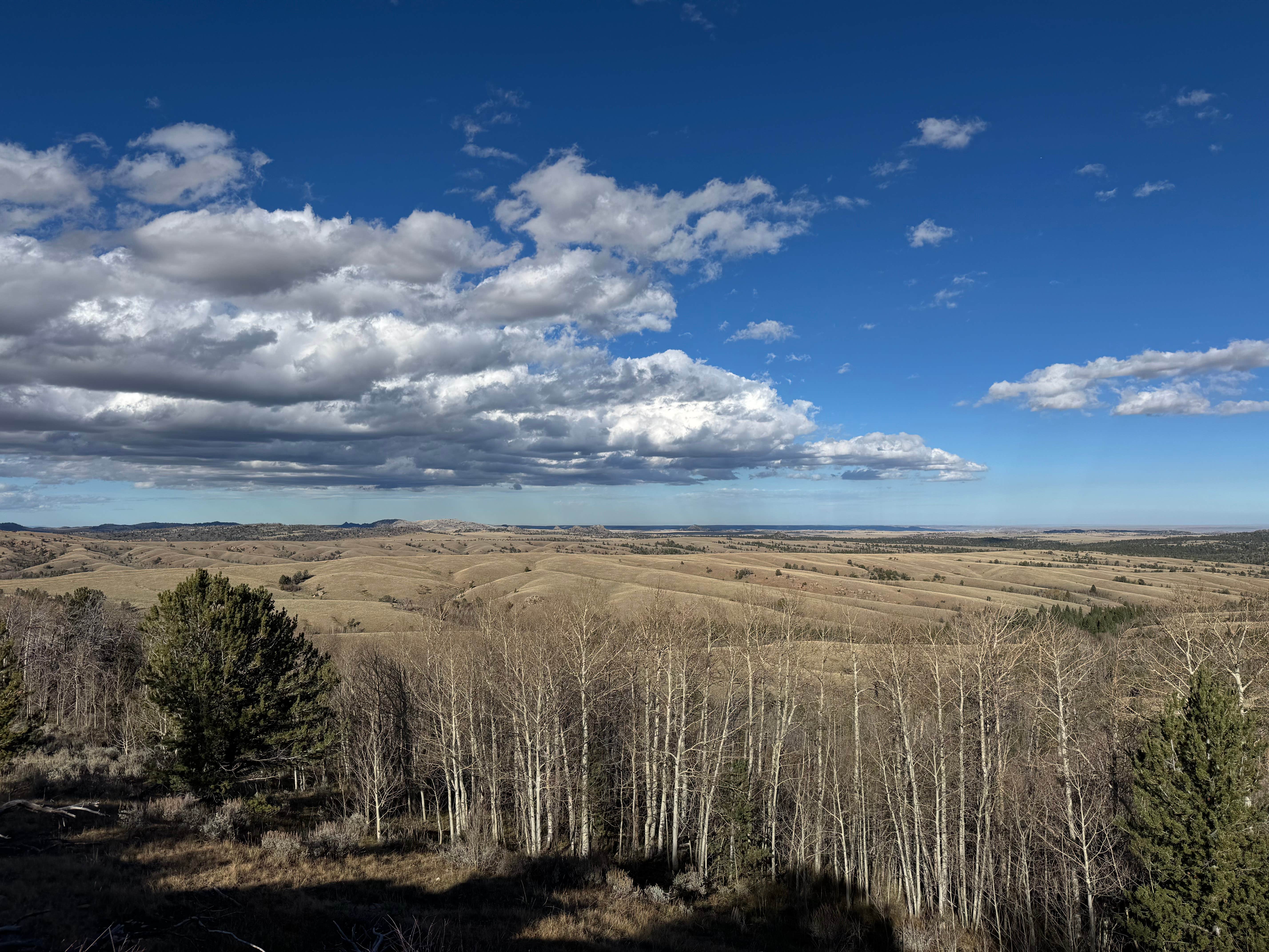 Camper-submitted photo at Forest Road 703C near Laramie, WY