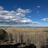 Review photo of Forest Road 703C by Mark S., October 14, 2025