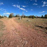 Review photo of Forest Road 703C by Mark S., October 14, 2025