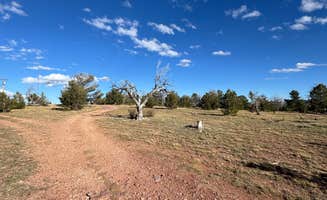Mark S.'s photo of a dispersed camping area at Forest Road 703C near Rock River, WY