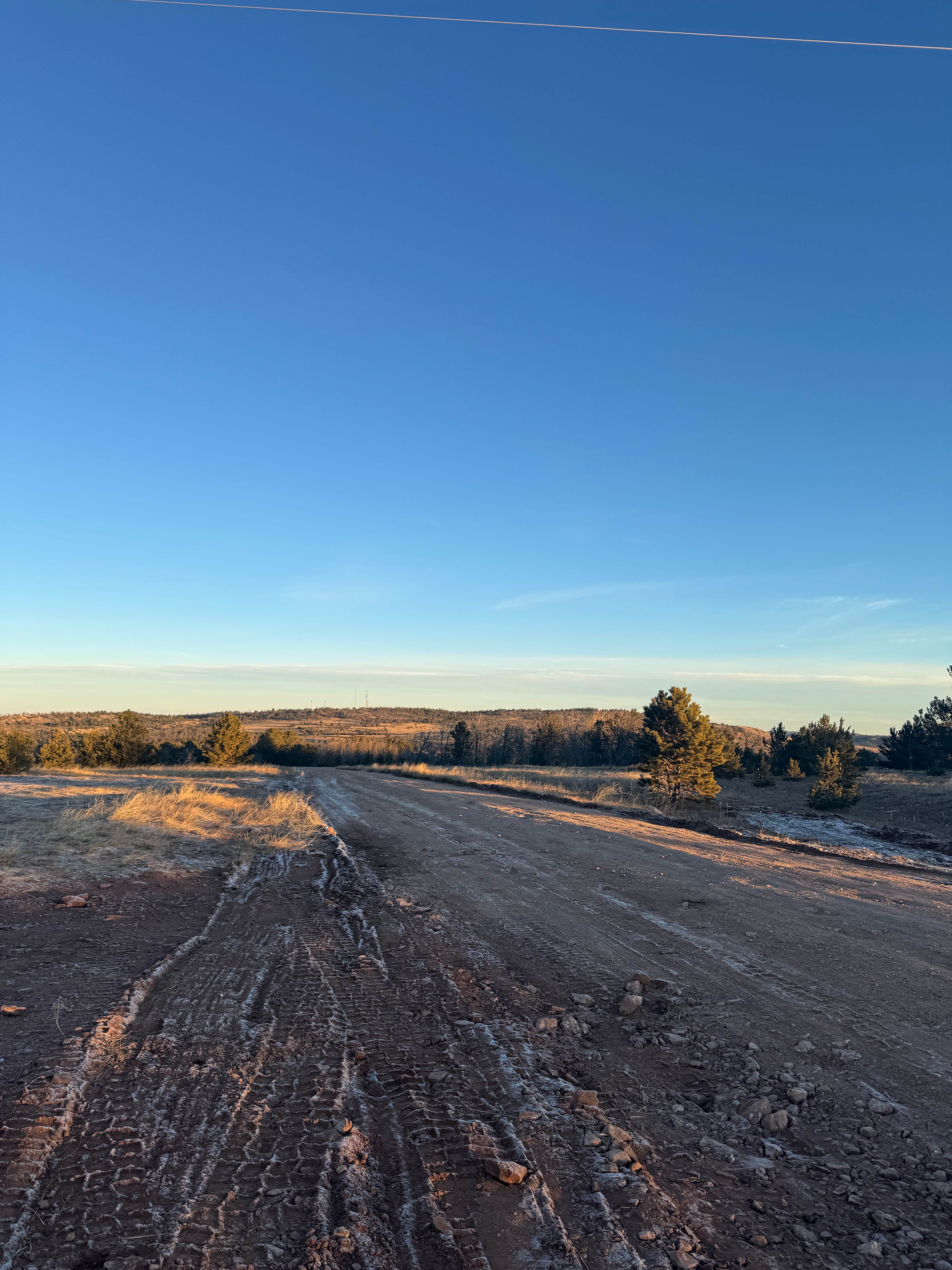 Camper submitted image from Forest Road 703C - 3