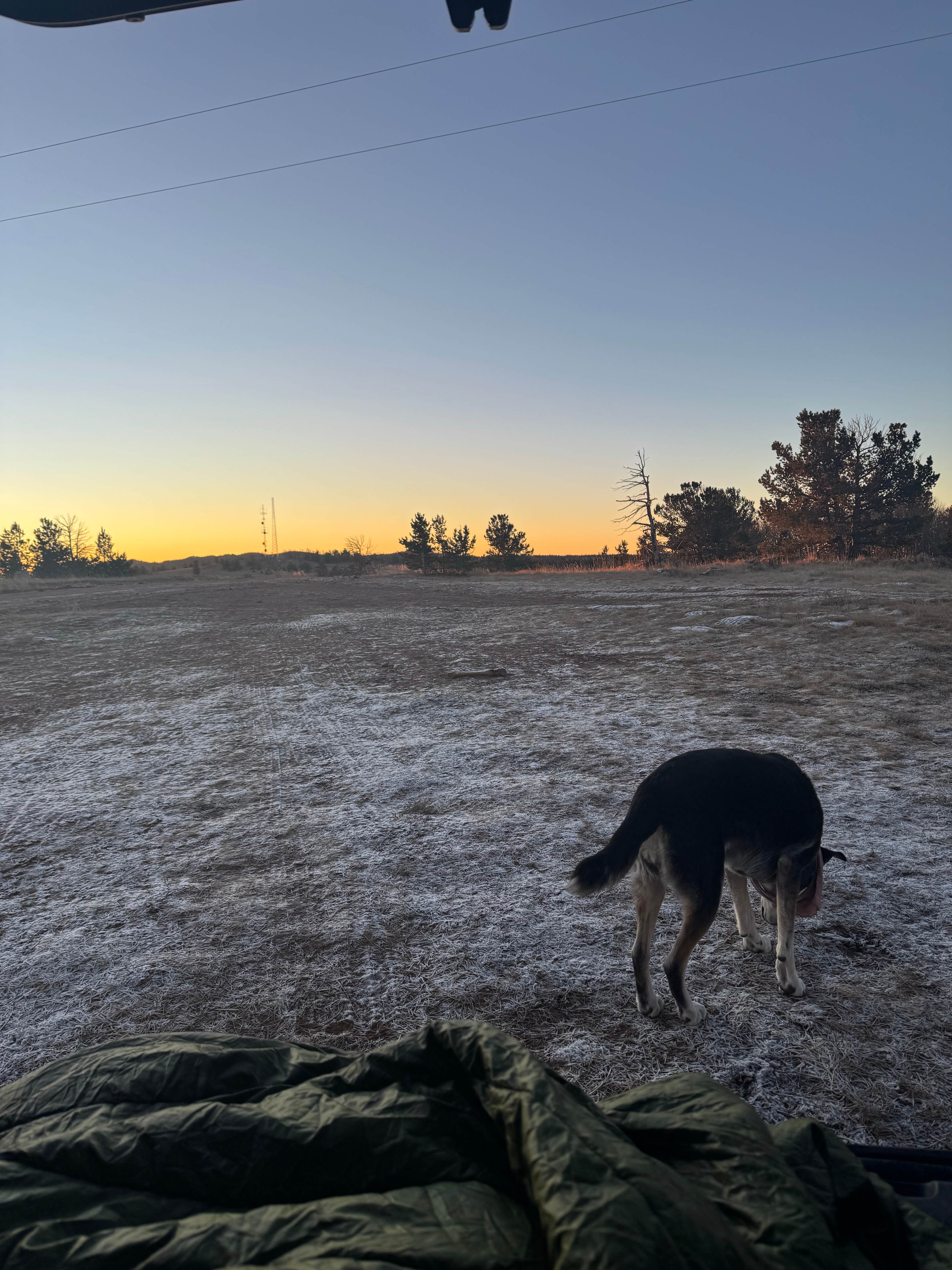 Camper-submitted photo at Forest Road 703C near Laramie, WY