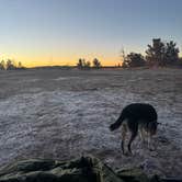 Review photo of Forest Road 703C by Michael R., November 24, 2025