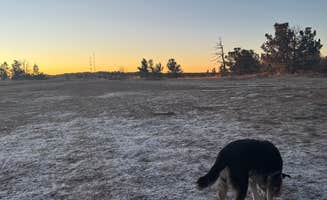 Michael R.'s photo of camping with pets at Forest Road 703C near Medicine Bow-Routt NFs & Thunder Basin NG