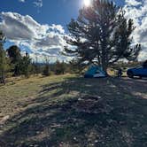 Review photo of Forest Road 703C by Mark S., October 14, 2025