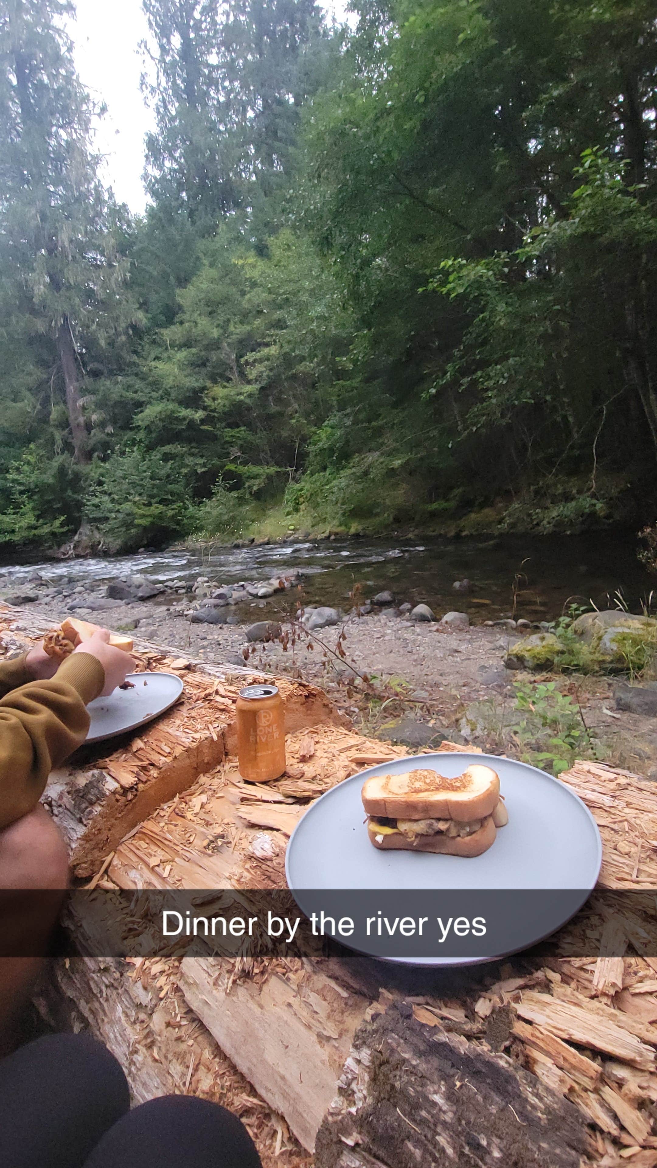 Camper-submitted photo at Forest Road 7300 Pull-Off near Lake Tapps, WA