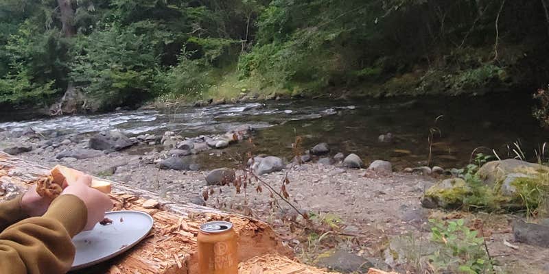 Camper submitted image from Forest Road 7300 Pull-Off