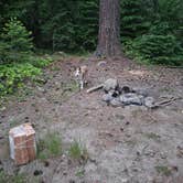 Review photo of Forest Road 7300 Pull-Off by Tre S., June 18, 2026