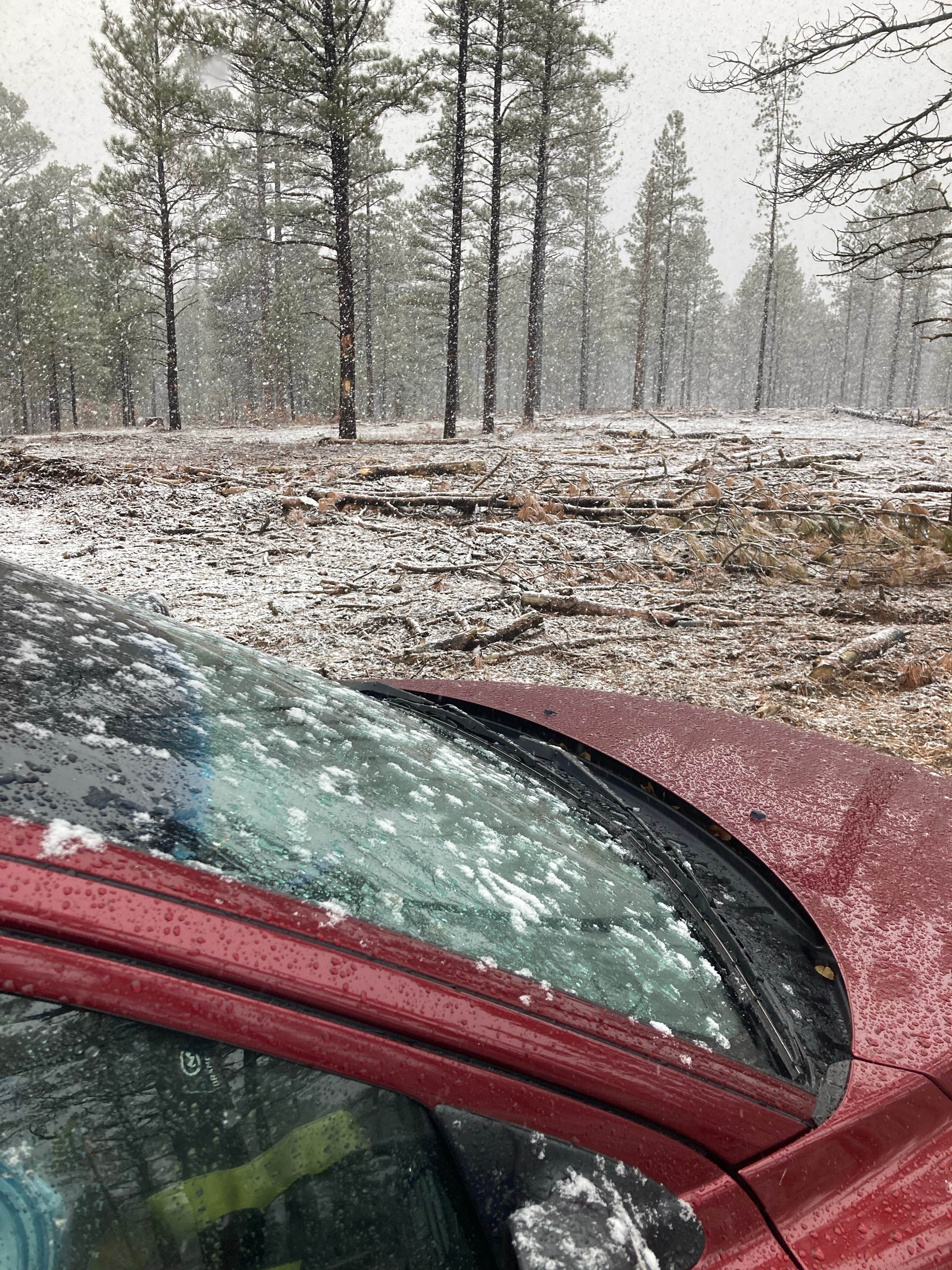Camper-submitted photo at Forest Road 76 near Abiquiu Lake