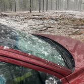 Review photo of Forest Road 76 by MATTHEW R., November 24, 2025