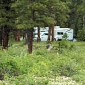 Review photo of Forest Road #838 Dispersed Camping Area by Greg L., June 14, 2024