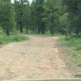 Review photo of Forest Road #838 Dispersed Camping Area by Greg L., June 14, 2024