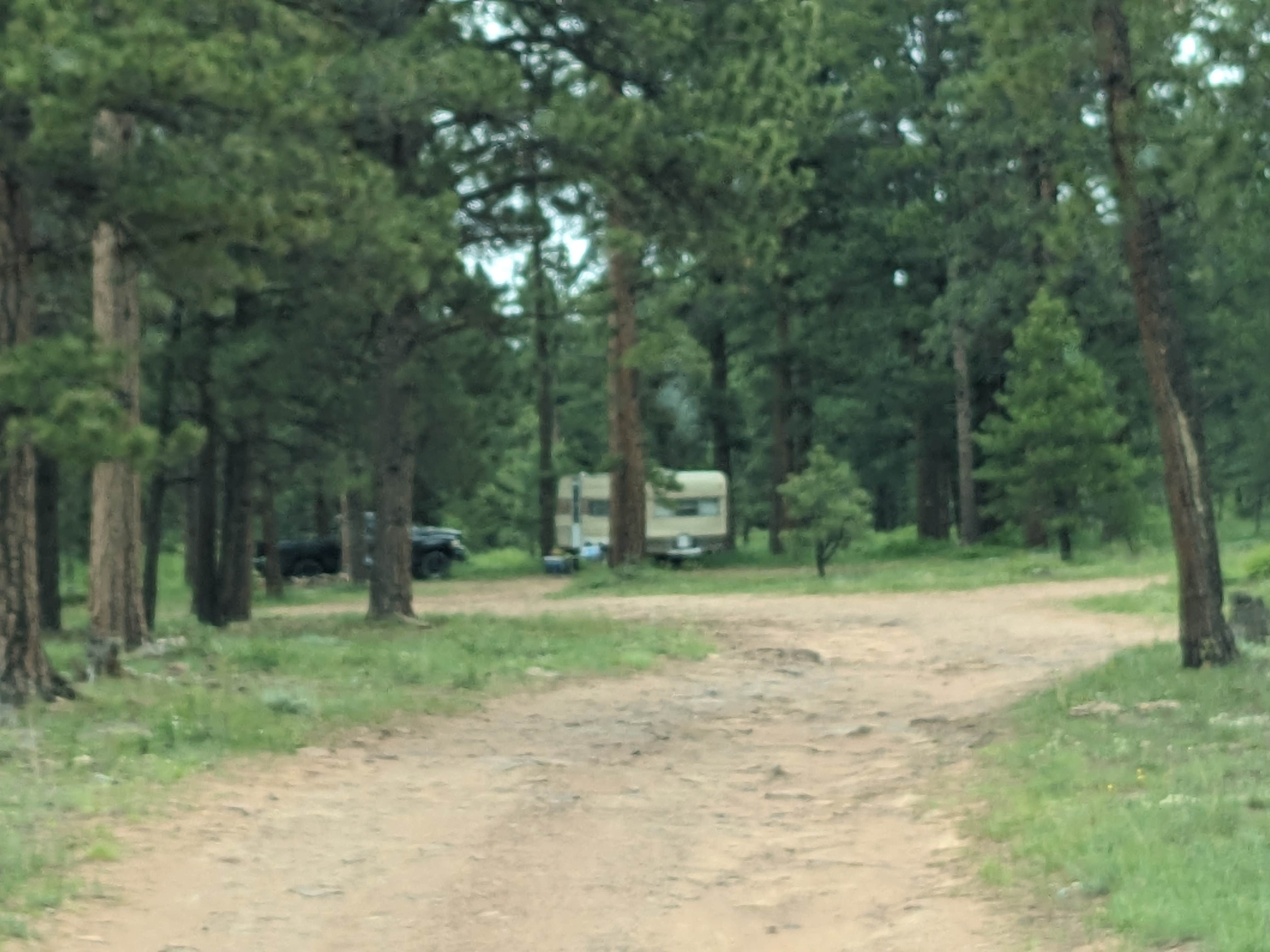 Camper-submitted photo at Forest Road #838 Dispersed Camping Area near Manila, UT
