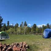 Review photo of Forest Road #838 Dispersed Camping Area by Abigail C., June 1, 2026