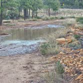 Review photo of Forest Road 9365 - ROAD TEMPORARILY CLOSED by Gregg T., November 22, 2025