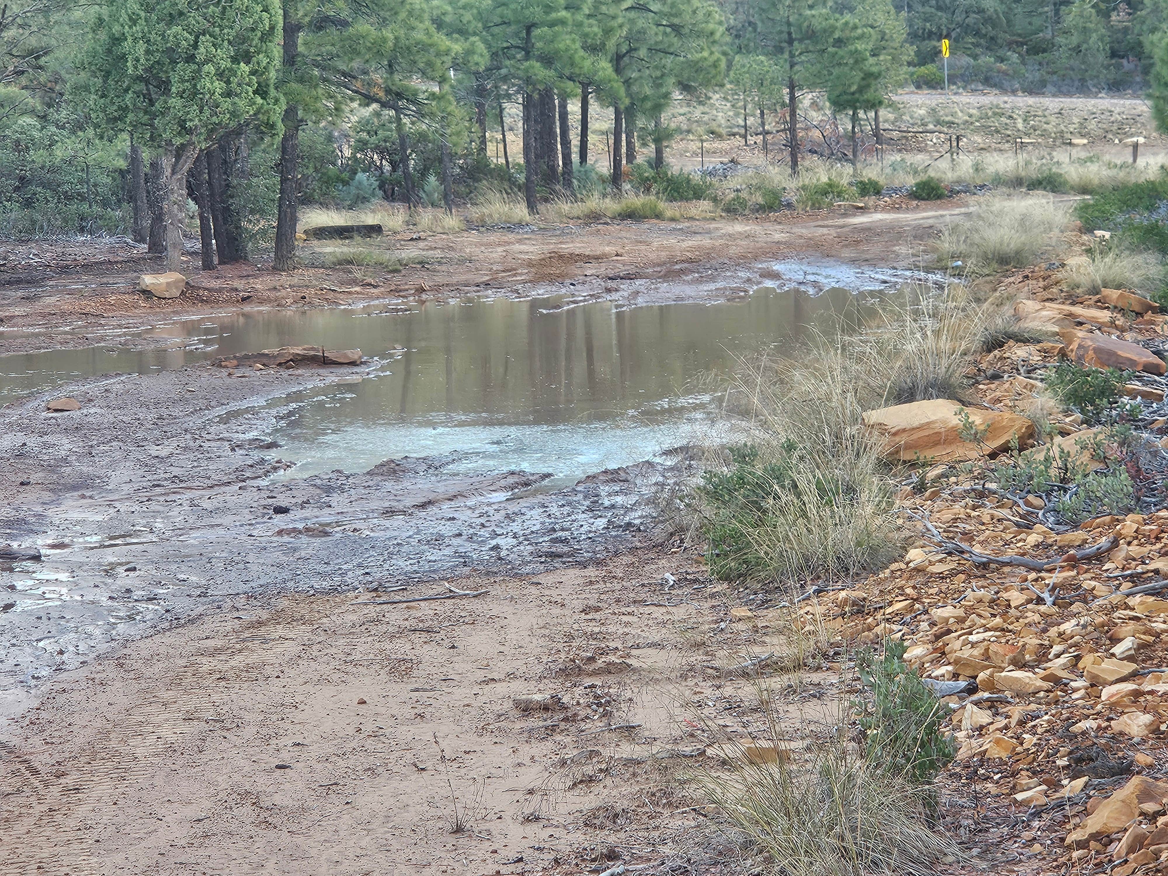 Camper submitted image from Forest Road 9365 - ROAD TEMPORARILY CLOSED - 5