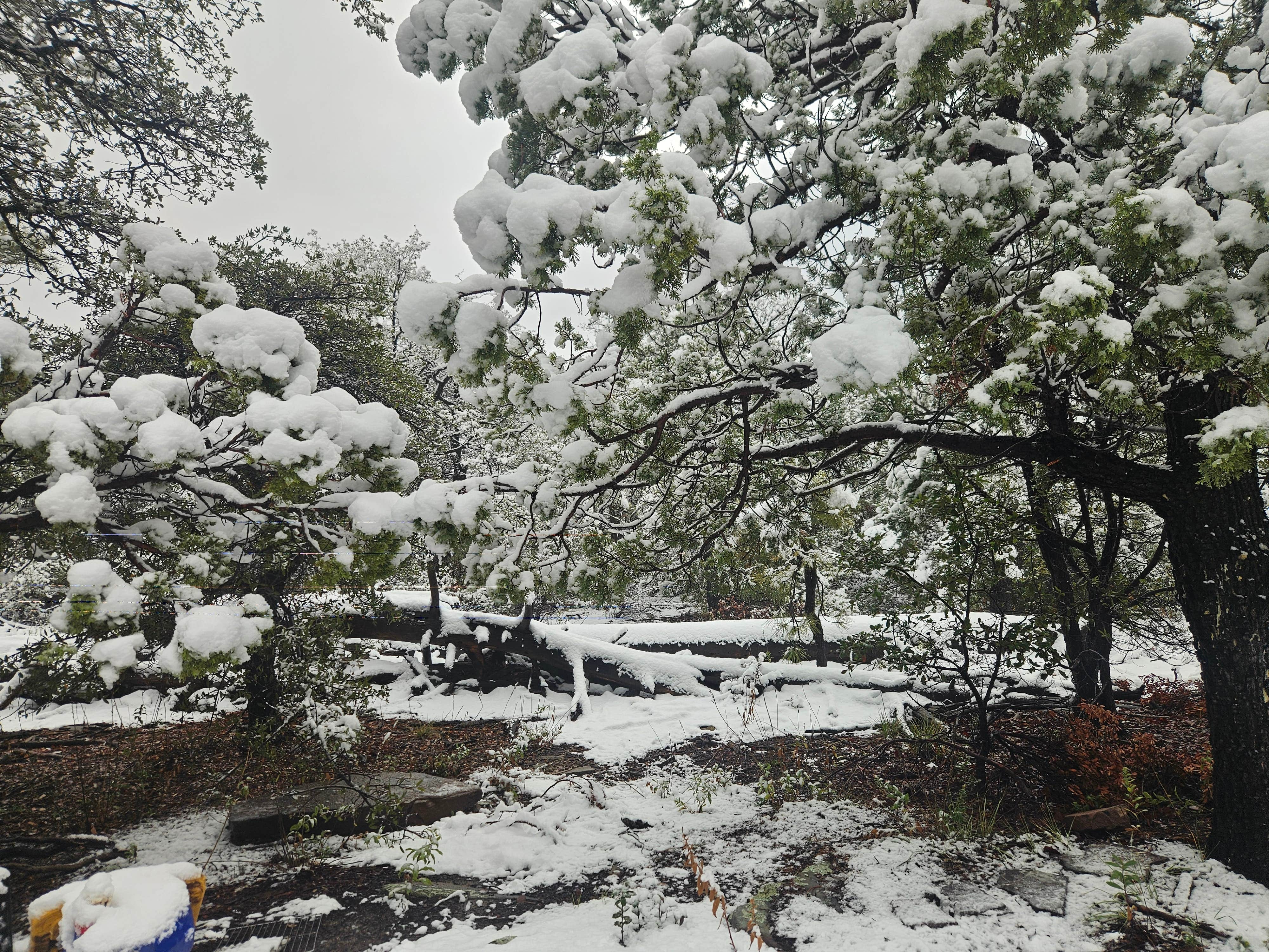 Camping near Twentynine Tank: Forest Road 9365 - ROAD TEMPORARILY CLOSED, Strawberry, Arizona