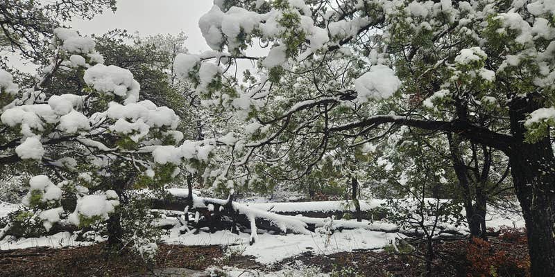 Camper submitted image from Forest Road 9365 - ROAD TEMPORARILY CLOSED