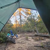 Review photo of Forest Road 9365 - ROAD TEMPORARILY CLOSED by Gregg T., November 7, 2025