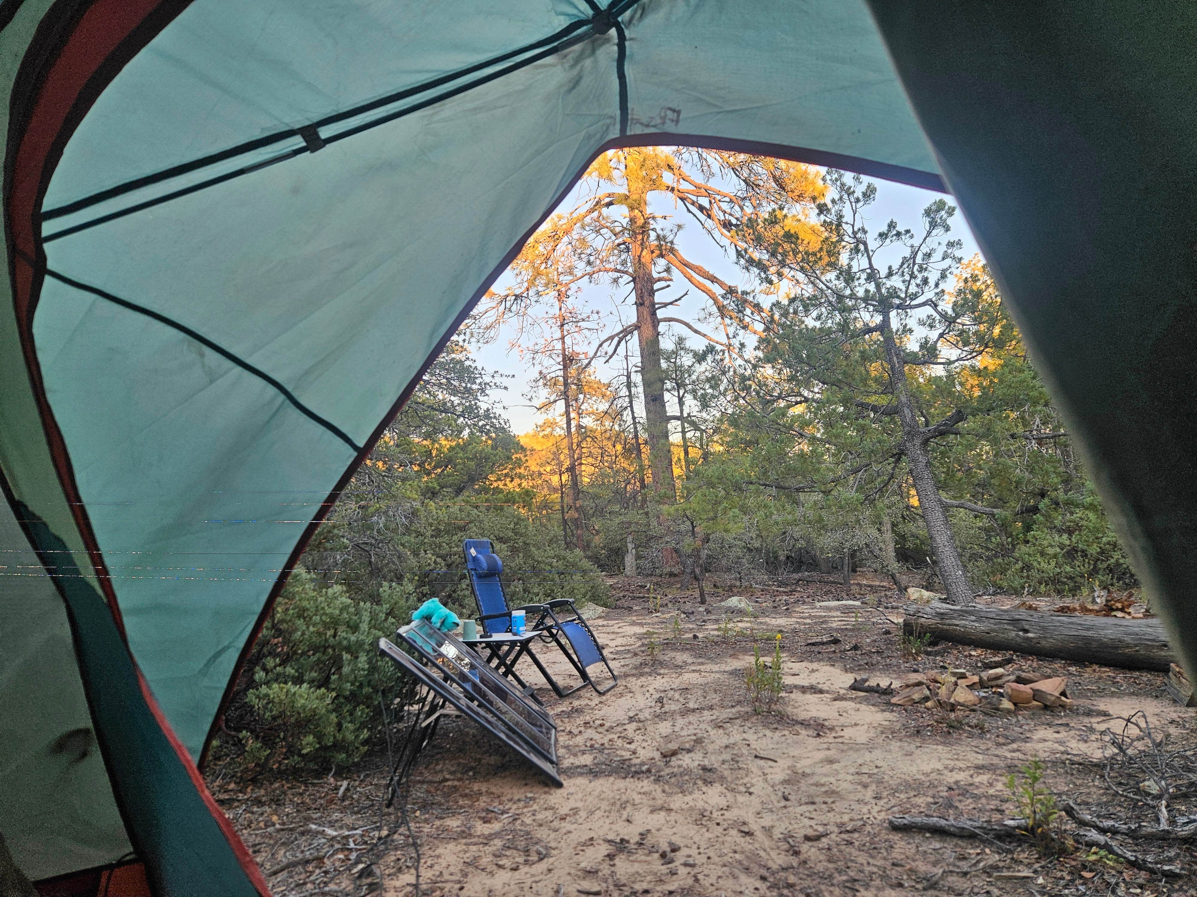 Camper submitted image from Forest Road 9365 - ROAD TEMPORARILY CLOSED - 3