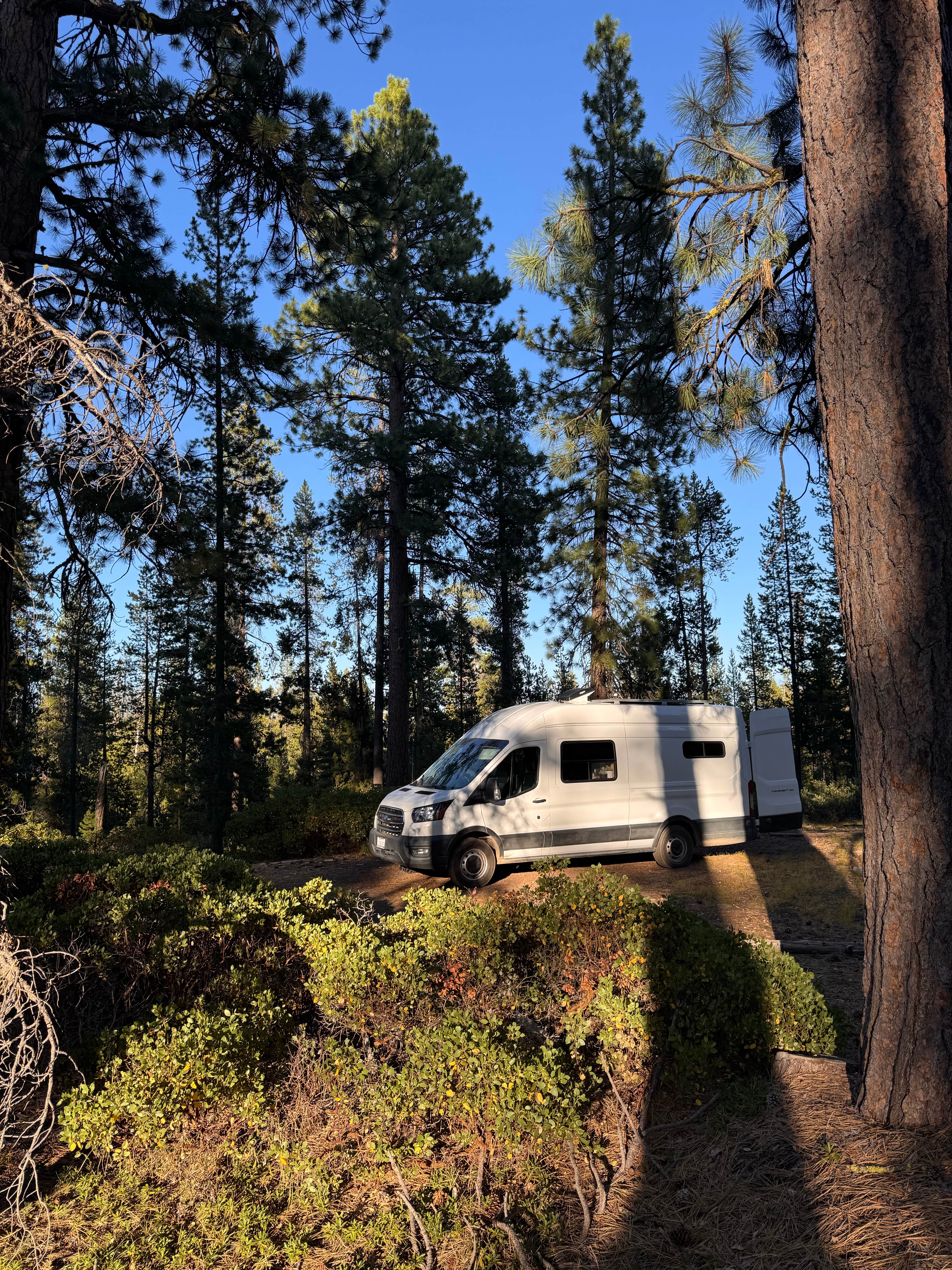 Camper-submitted photo at Forest Road 940 Camp near Chemult, OR