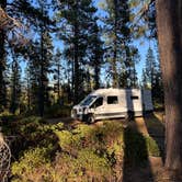 Review photo of Forest Road 940 Camp by Daniel M., August 11, 2026