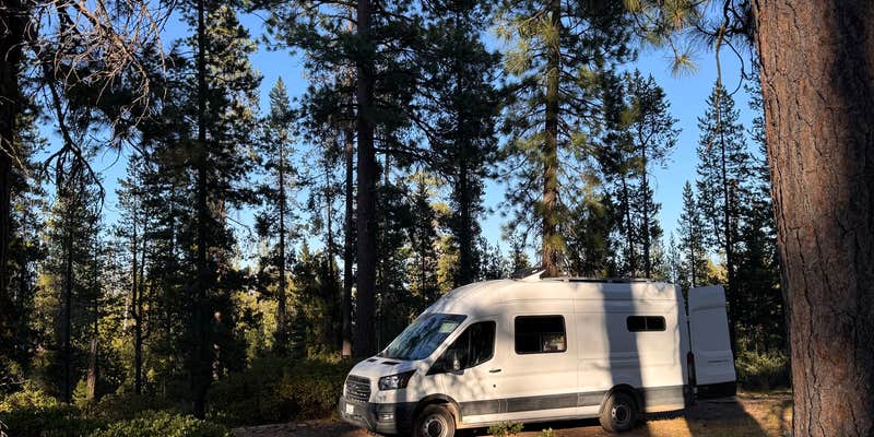 Camper submitted image from Forest Road 940 Camp