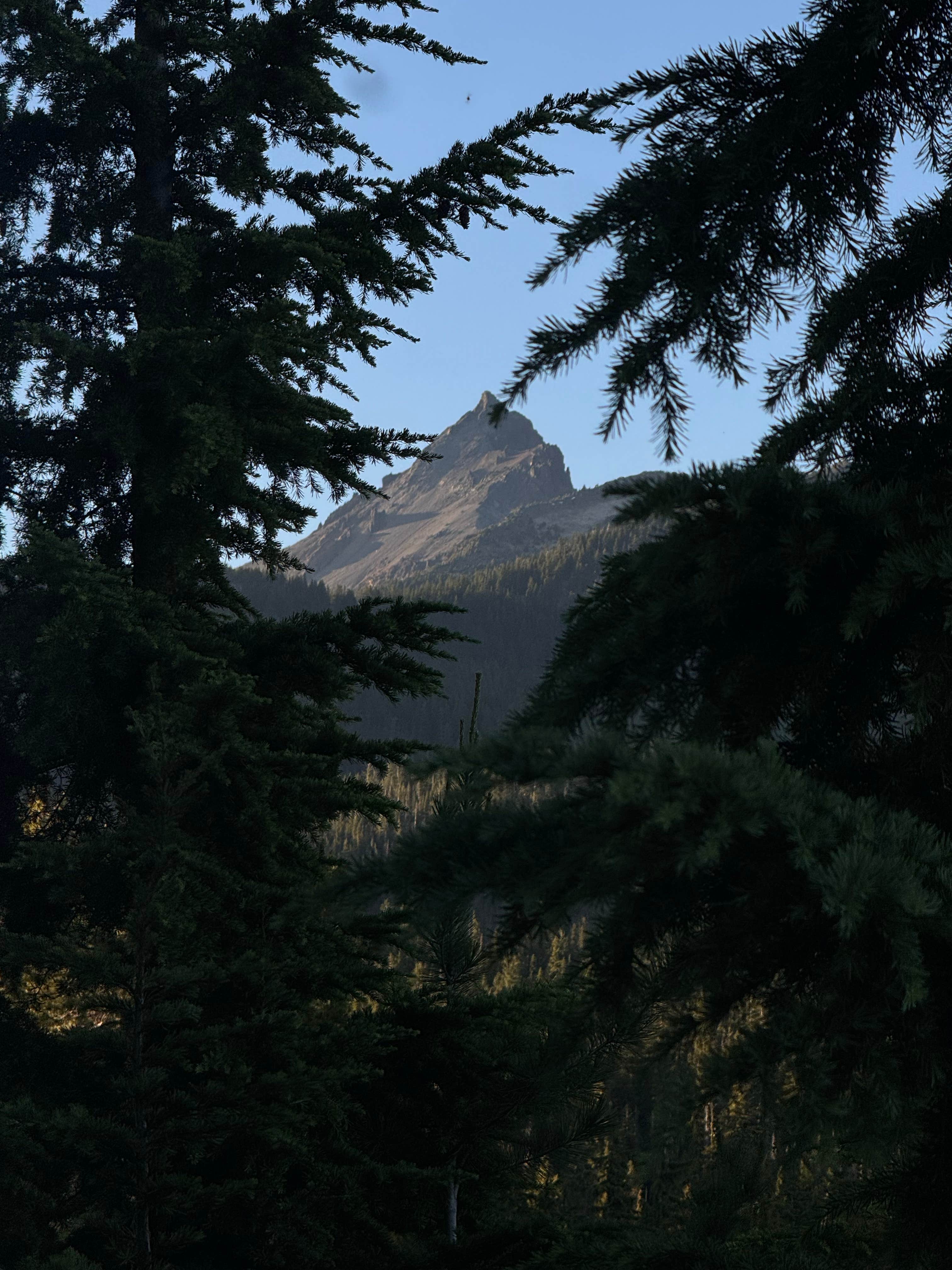 Camper-submitted photo at Forest Road 960 by Pacific Crest Trail PCT near Chemult, OR
