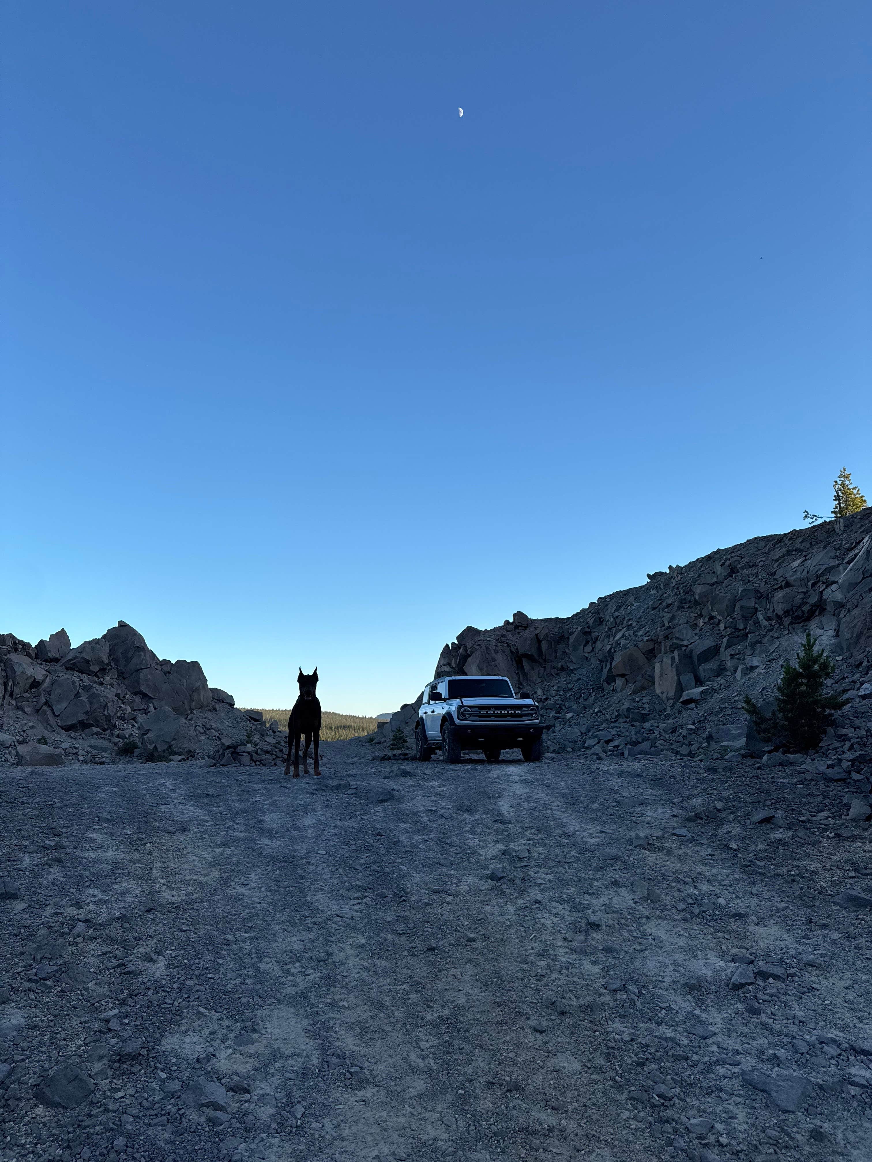 Camper-submitted photo at Forest Road 960 by Pacific Crest Trail PCT near Chemult, OR