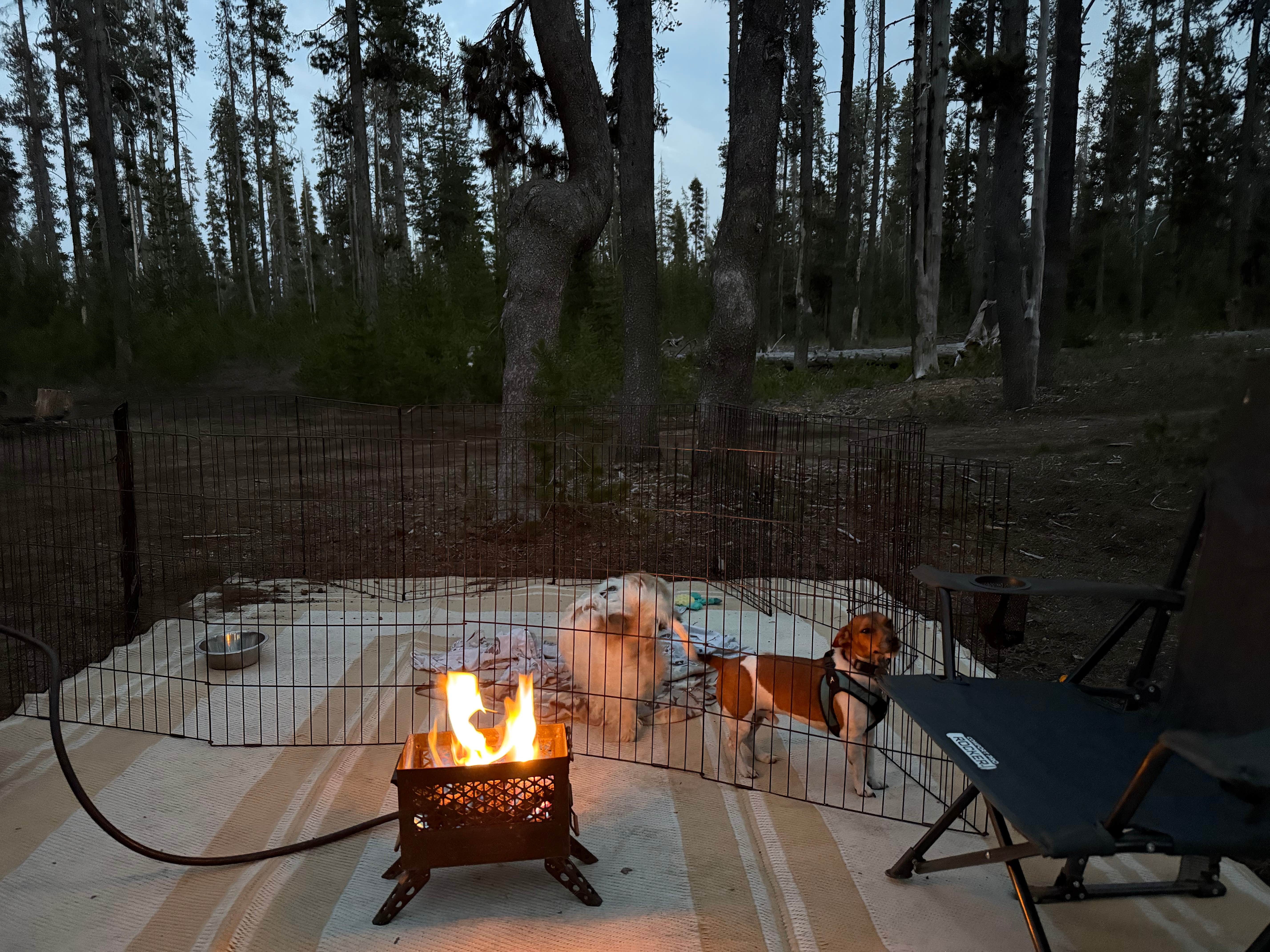 Camper-submitted photo at Forest Road 960 Campsite near Umpqua National Forest