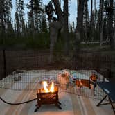 Review photo of Forest Road 960 Campsite by Josh W., July 16, 2026