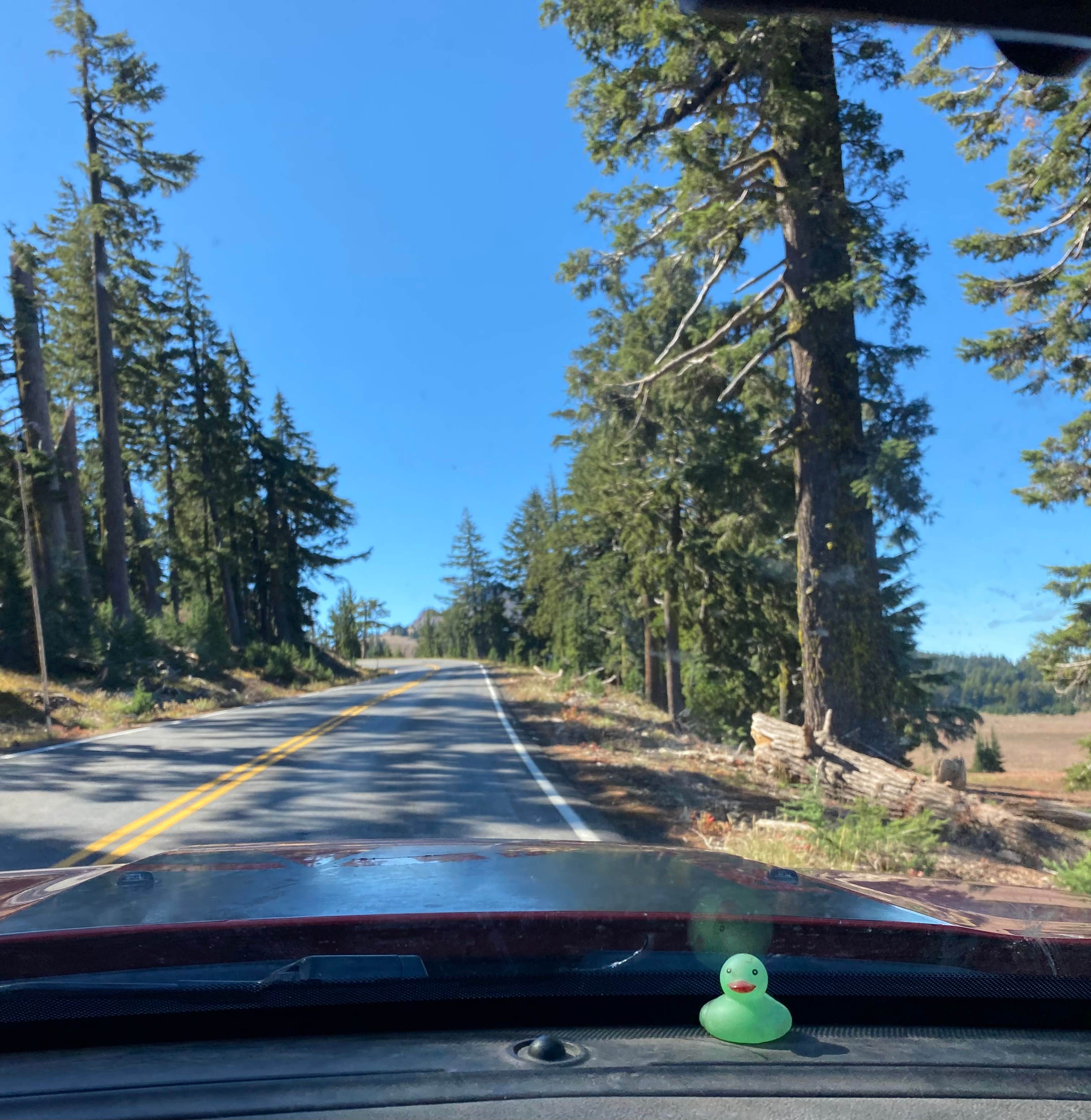 Camper submitted image from Forest Road 960 Campsite - 4