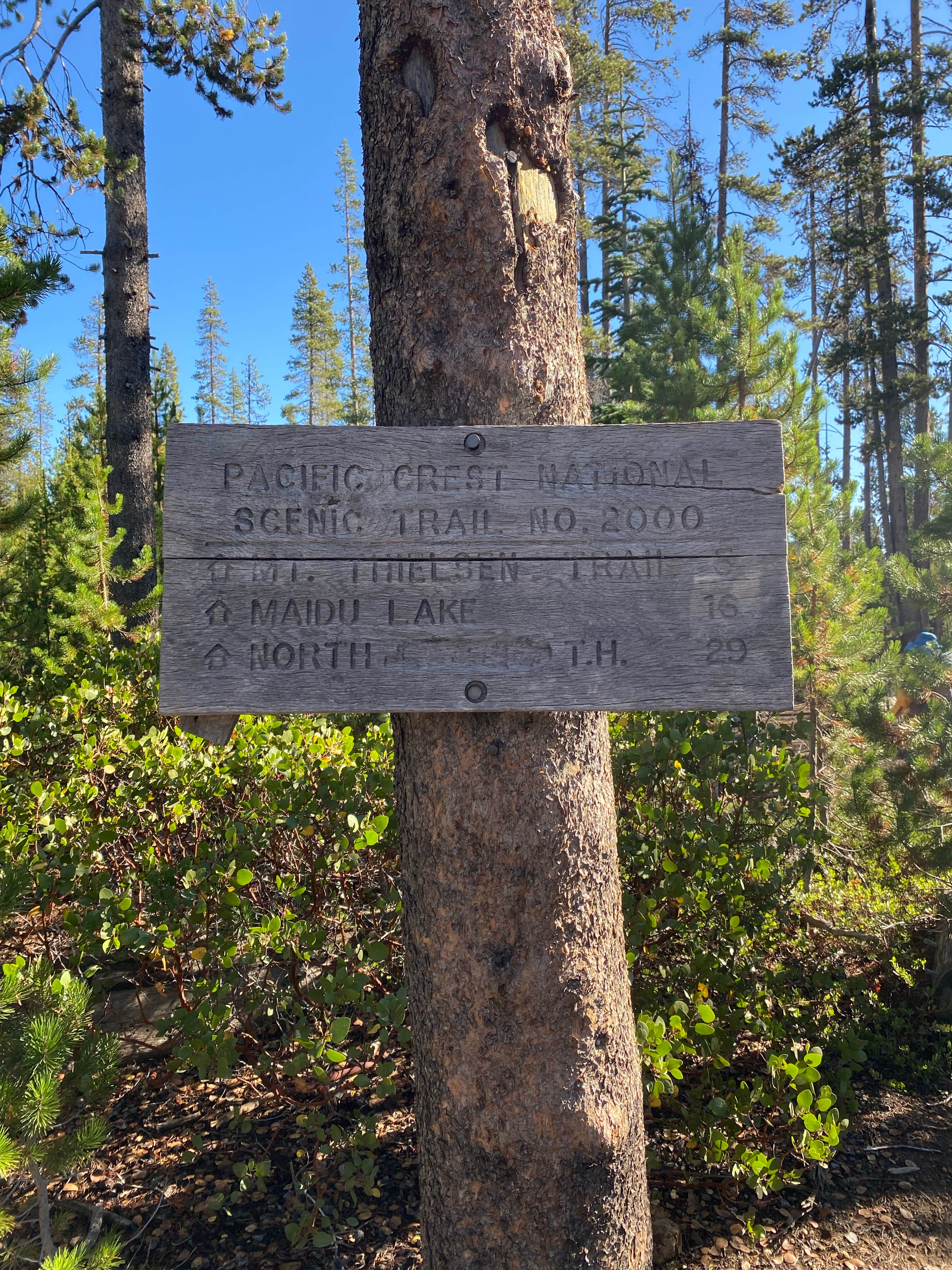 Camper-submitted photo at Forest Road 960 Campsite near Diamond Lake, OR