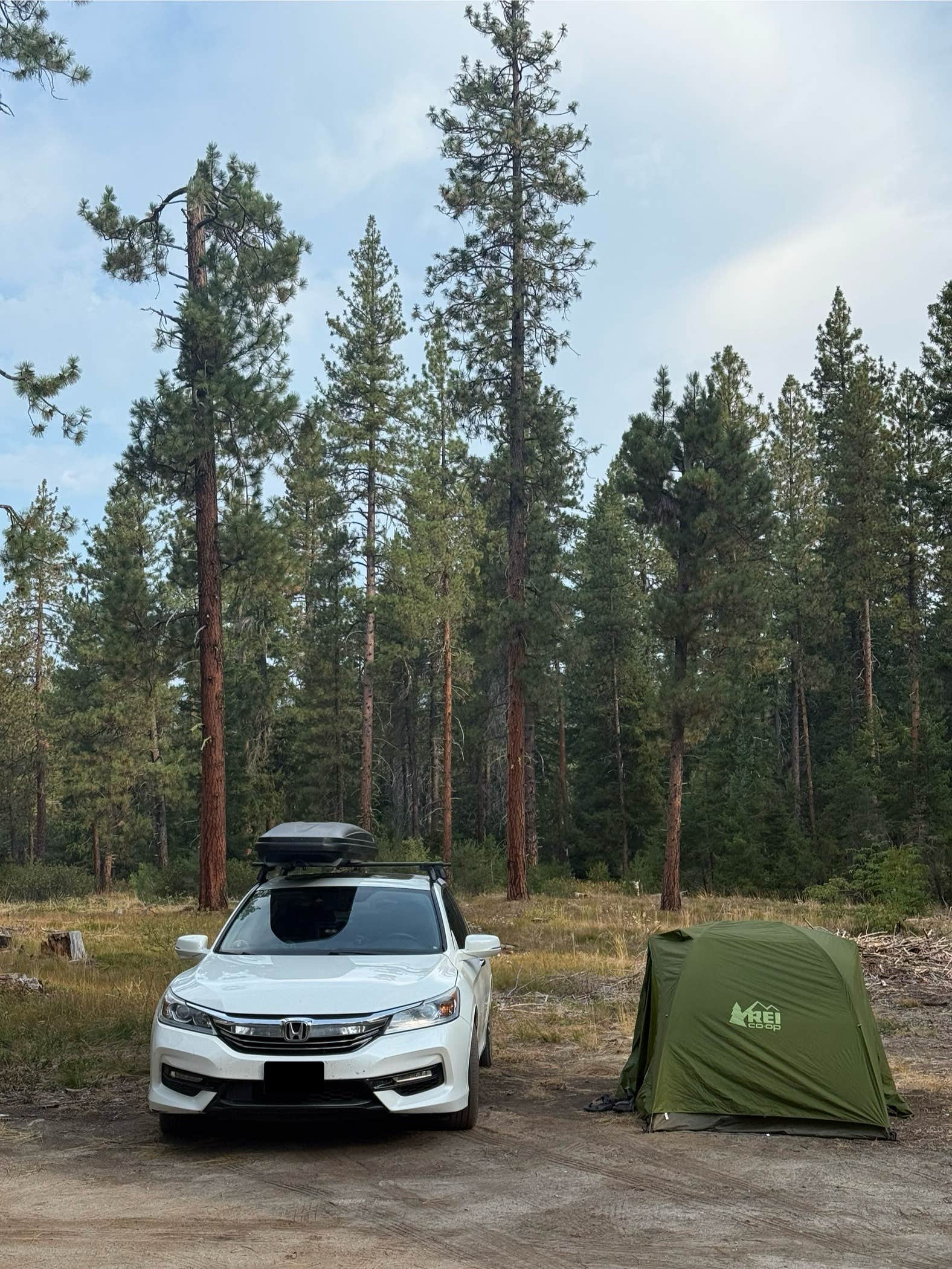 Eric O.'s photo of a dispersed camping area at Forest Road Dispersed Site near Lake Chelan National Recreation Area