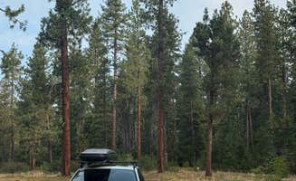 Eric O.'s photo of a dispersed camping area at Forest Road Dispersed Site near Mt. Baker-Snoqualmie National Forest