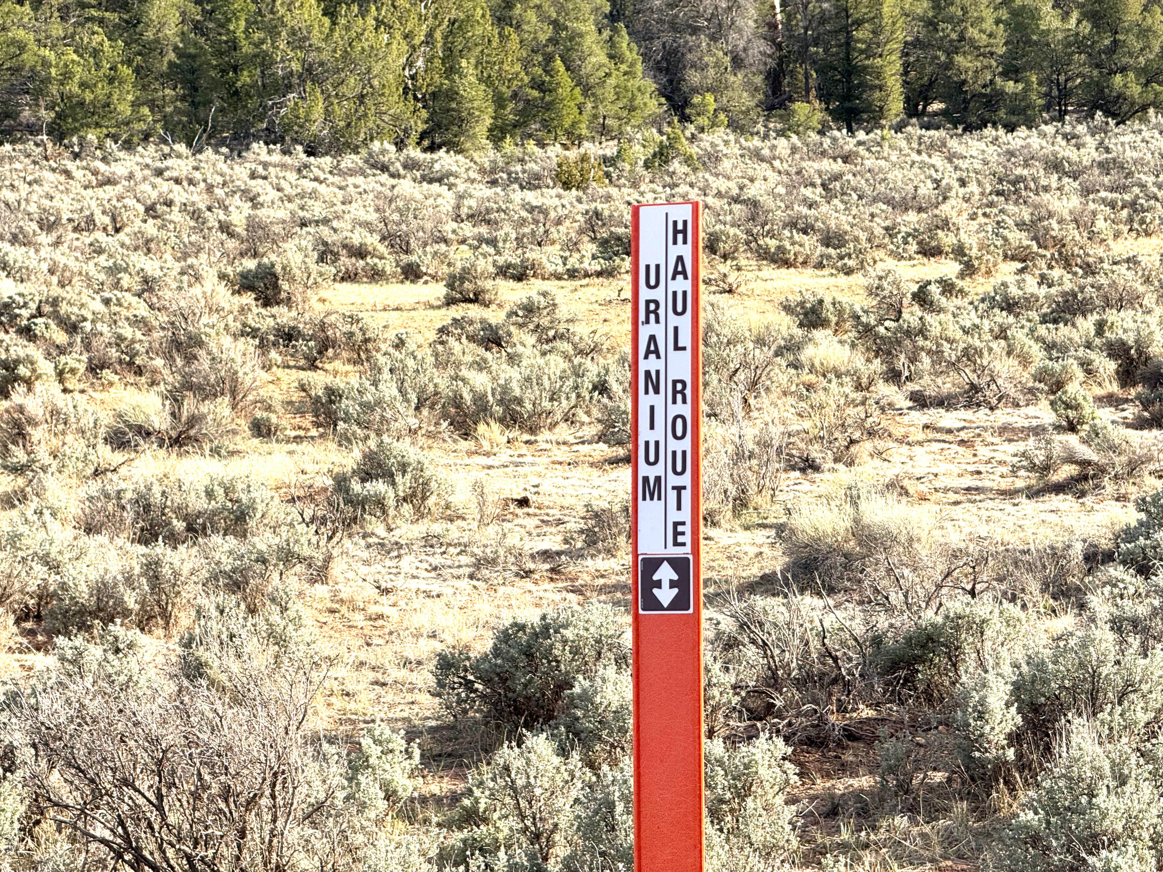 Old Grand Canyon Airport Forest Road - Dispersed Camping