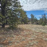 Review photo of Old Grand Canyon Airport Forest Road - Dispersed Camping by T&A Adventures *., March 31, 2024