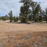 Review photo of Old Grand Canyon Airport Forest Road - Dispersed Camping by T&A Adventures *., March 31, 2024