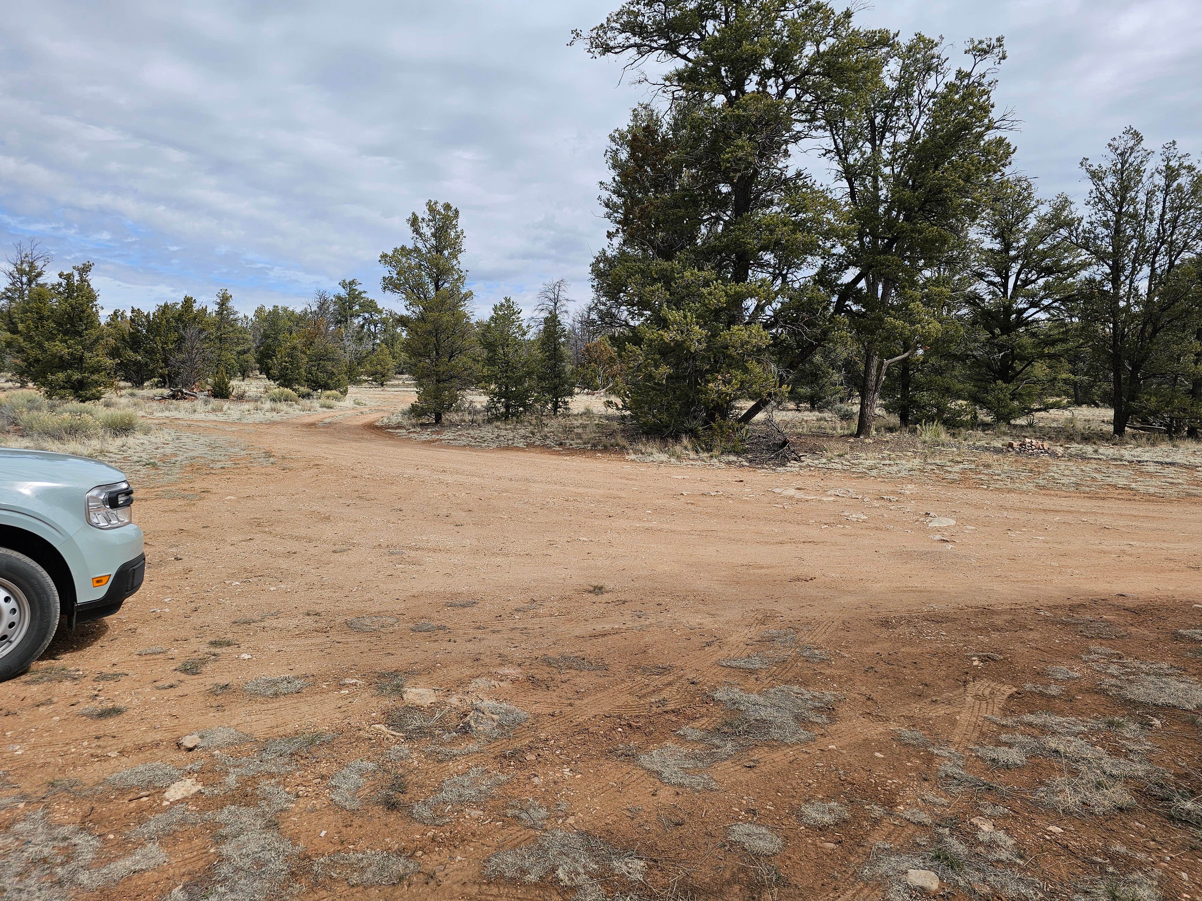 Camper submitted image from Old Grand Canyon Airport Forest Road - Dispersed Camping - 3