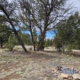 Review photo of Old Grand Canyon Airport Forest Road - Dispersed Camping by T&A Adventures *., March 31, 2024